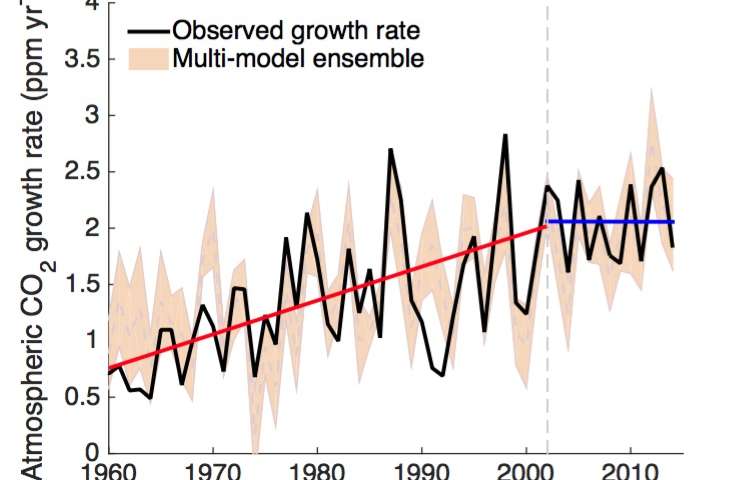 Study: Carbon-hungry plants impede growth rate of atmospheric CO2&nbsp;